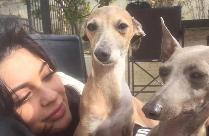 How many dogs does Kylie Jenner have?
